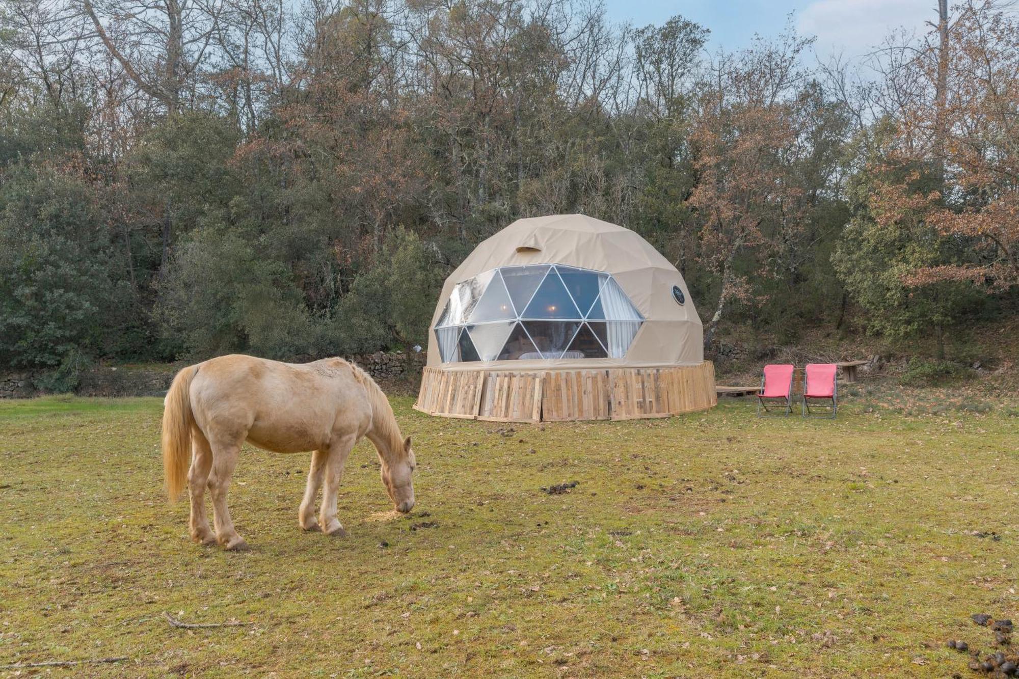 La Cabane Aux Chevaux Varages Екстер'єр фото